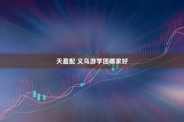 天盈配 义乌游学团哪家好